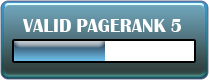 www.TeamInertia.com gets Google PageRank 5